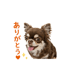 misae_20260612091549