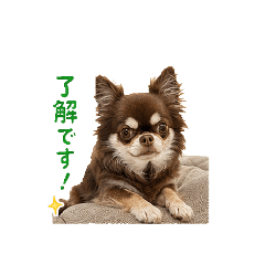 misae_20260612094022
