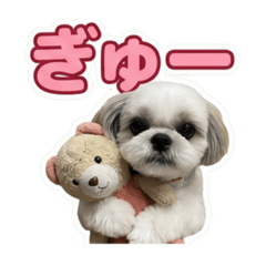 hakusaku_20260612093355