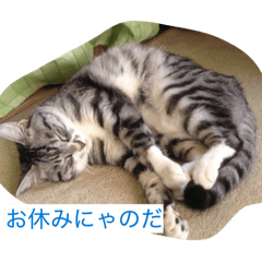 sasuke_20260612104336