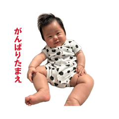 my_20260612104721