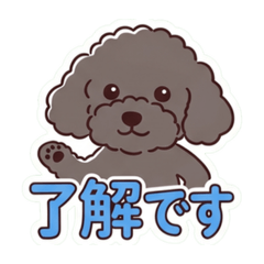 Masa_20260612114750