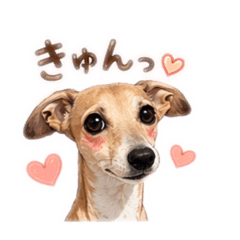 MaI_20260612120510