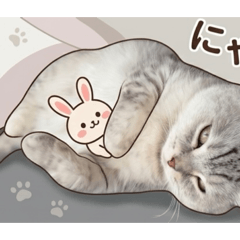 natsu_20260612125117