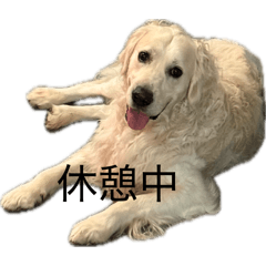 cooper_20260612125219