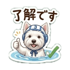 TATSU_20260612131434