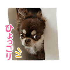 misae_20260612132931