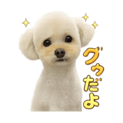Hitomi_20260612134544
