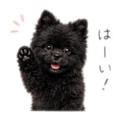 CoCo_20260612140756