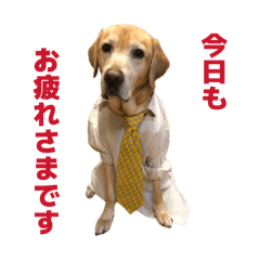 KizakiMinoru_20260612140907