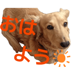 Tama_20260612140305