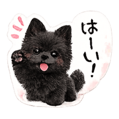 CoCo_20260612142334