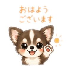 chiwawan_20260612143725