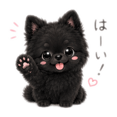 CoCo_20260612143429