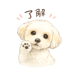 Moko_20260612142941