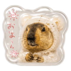Hamano_20260612143841