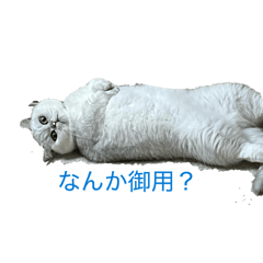 mzksmd613_20260612143844