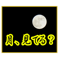 HIROGE_20260612143330