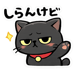 chipoko_20260612153832