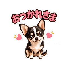 pimaru_20260612154253