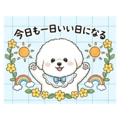 fumeppi_20260612154151