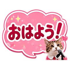 merumyu_20260612160238