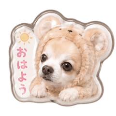 Chiro20070830