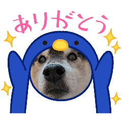 sasuke_20260612162123