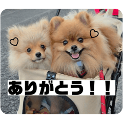 mi_xx_xx0929_20260612162109