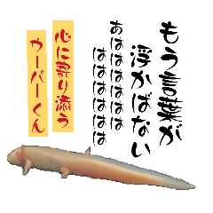 megumi_20260612162220