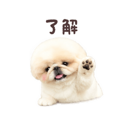 mana_20260612164203