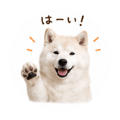 gabu_20260612165615