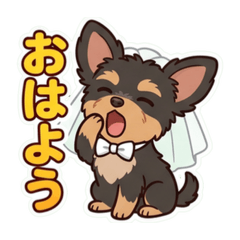 hiromin_20260612165838