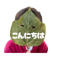 Maaa._20260612165748