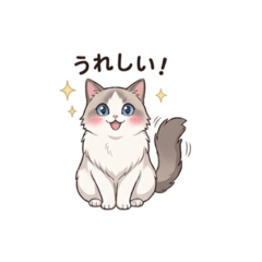 yuki_20260612165556