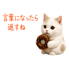 Soft Wording