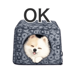 狗狗貼圖博美