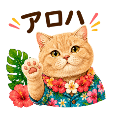 Aloha cat shinba