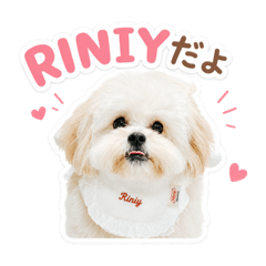 riiiy_20260612173110