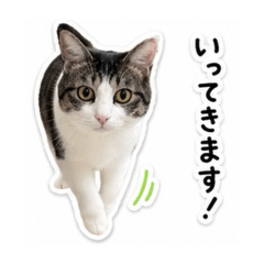 risa_20260612172854