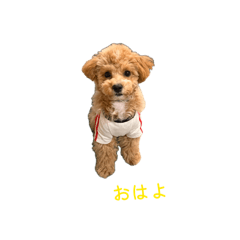 hiro_20260612173704