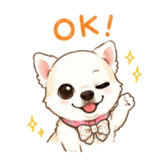 RABUKO_20260612172653