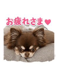 misae_20260612172940