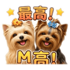 anshan_20260612173931
