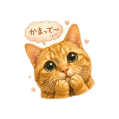 kinako_20260612