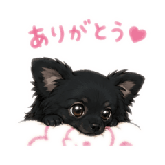 coco_20260612180145