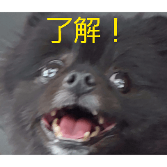 HIROTO_20260612