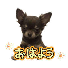 nana_20260612181104