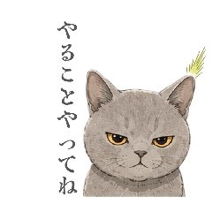 yumi_20260612180455
