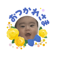 shachi_20260612183206